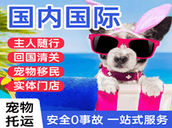 株洲芦淞航空物流国际宠物托运 【国